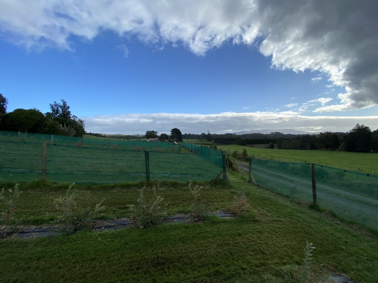 Amazing clouds from the blueberry bay