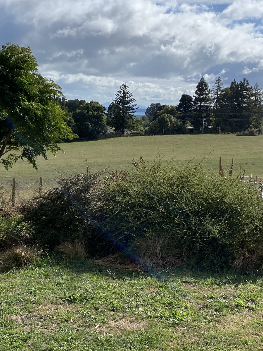 View from the small cottage