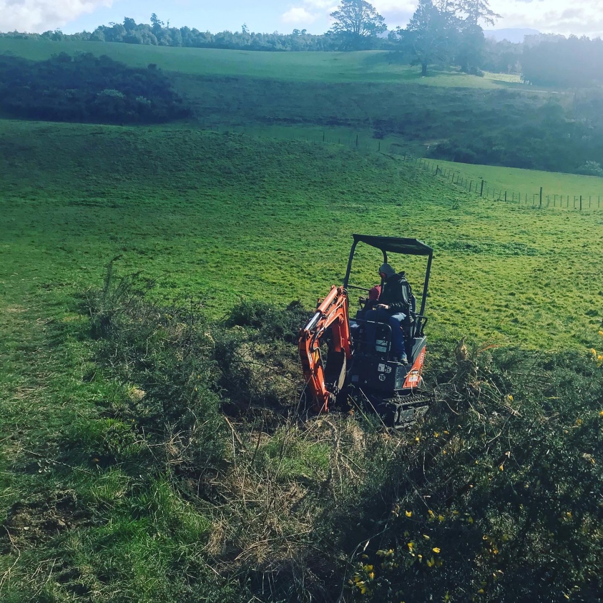 Ripping out gorse with a digger